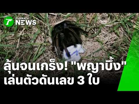 Thai Lottery Seekers Hunt for Lucky Numbers Across Multiple Provinces