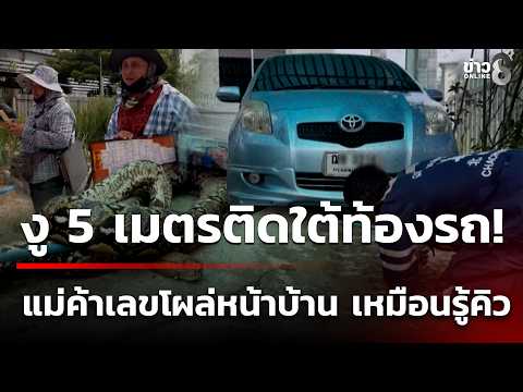 Python Rescues and Hospital Fire Reported in Thailand