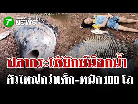 Giant 100kg Barb Found Dead Amid Prachin Buri Floods