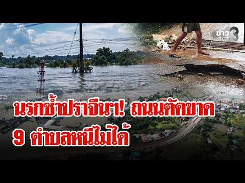 Severe Flooding Crisis in Prachin Buri: Thousands of Livestock Dead and Resident
