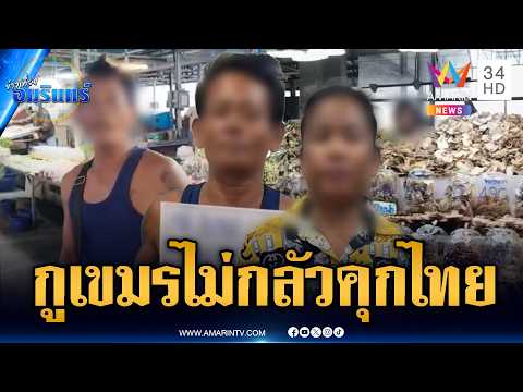 Foreign Nationals Operating Businesses Illegally in Thai Markets