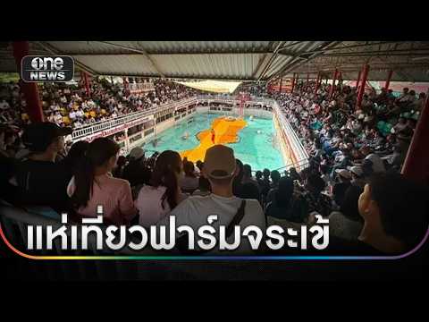 Viral 'Lonely Elephant' Video Sparks Tourism Surge at Samut Prakan Crocodile Far