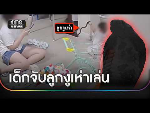 Toddler's Close Call: Baby Plays With Cobra, Sparking Safety Concerns
