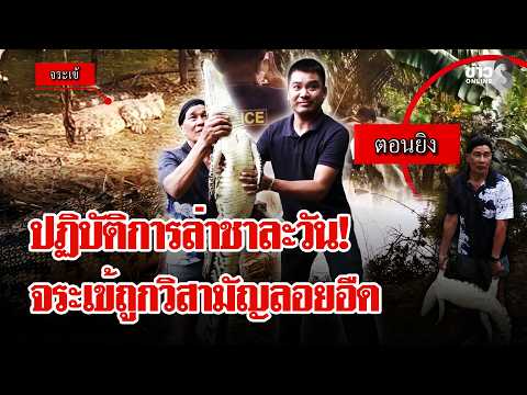 Crocodiles Escape Farms and Terrorize Prachinburi Villages