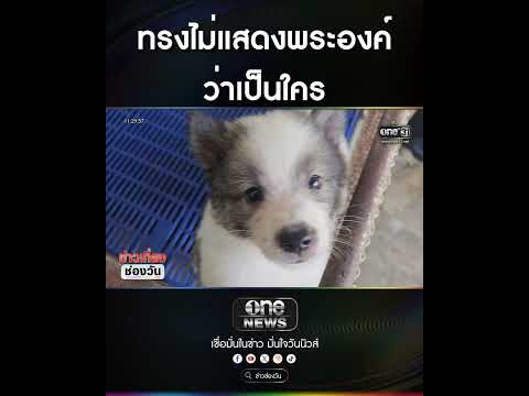 Princess's Secret Dog Purchase: A Memorable Encounter