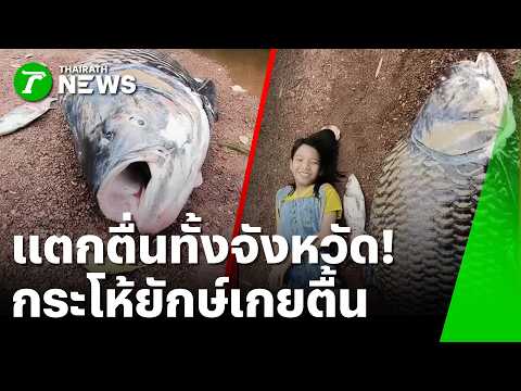 Severe Flooding in Prachinburi and Chachoengsao Causes Mass Aquatic Deaths