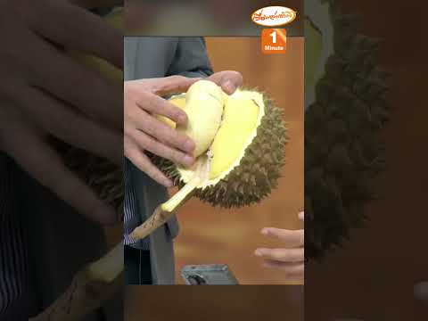 Durian Expert Sorayuth Peels Fruit Skillfully Without Gloves