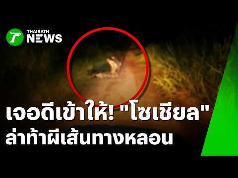 Delivery Driver's Haunted Forest Encounter Sparks Social Media Investigation