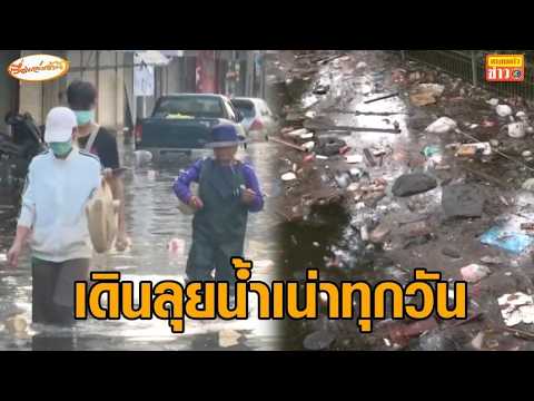 Severe Flooding and Sanitation Crisis in Romklao and Lat Krabang