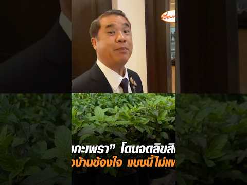 Thai Villagers Protest Copyright Registration of Holy Basil Seeds