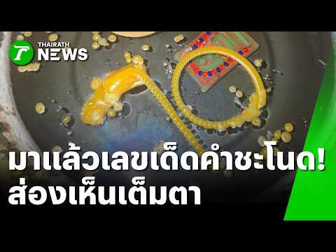 Thai Citizens and Tourists Seek Lucky Lottery Numbers at Sacred Sites