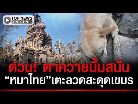 Thai Military Dog Injured by Cambodian Landmine at Ta Kwai Temple